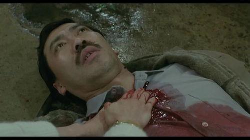 国产一级做a爱片久久毛片a,探索激情与艺术的完美融合